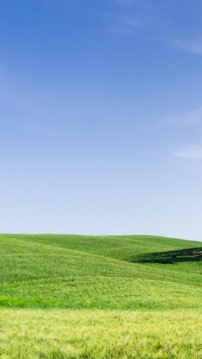 蓝天白云绿色青草地图片